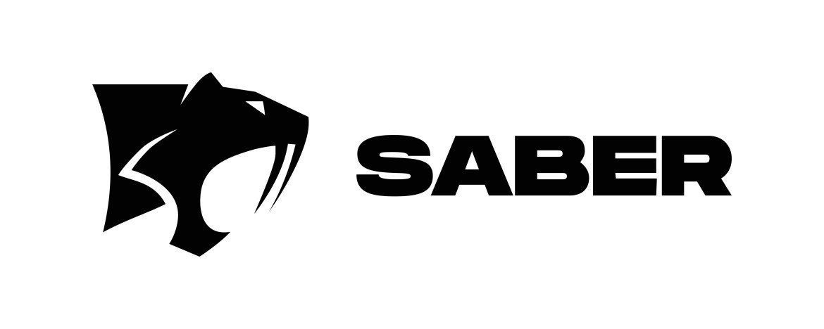 Saber Interactive Spain