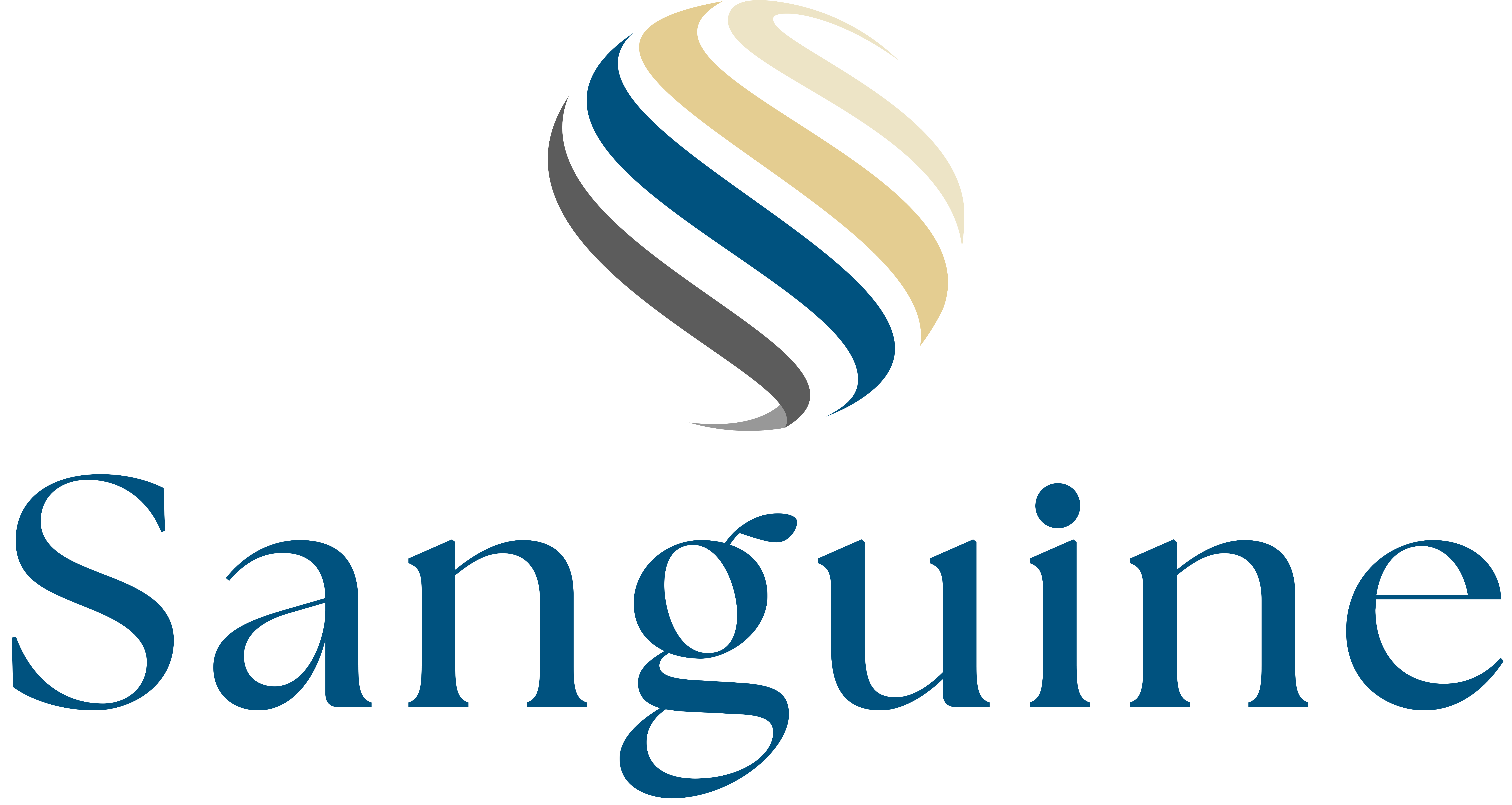 Sanguine Technology Solutions