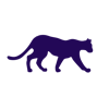 Leopard.FYI