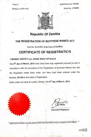 Divine Sight Opticals