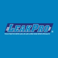 LEAKPRO