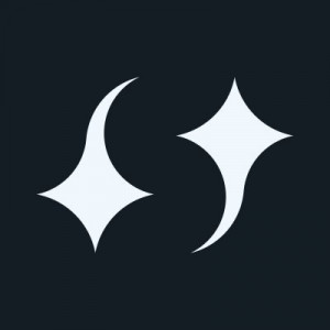 Selini Capital