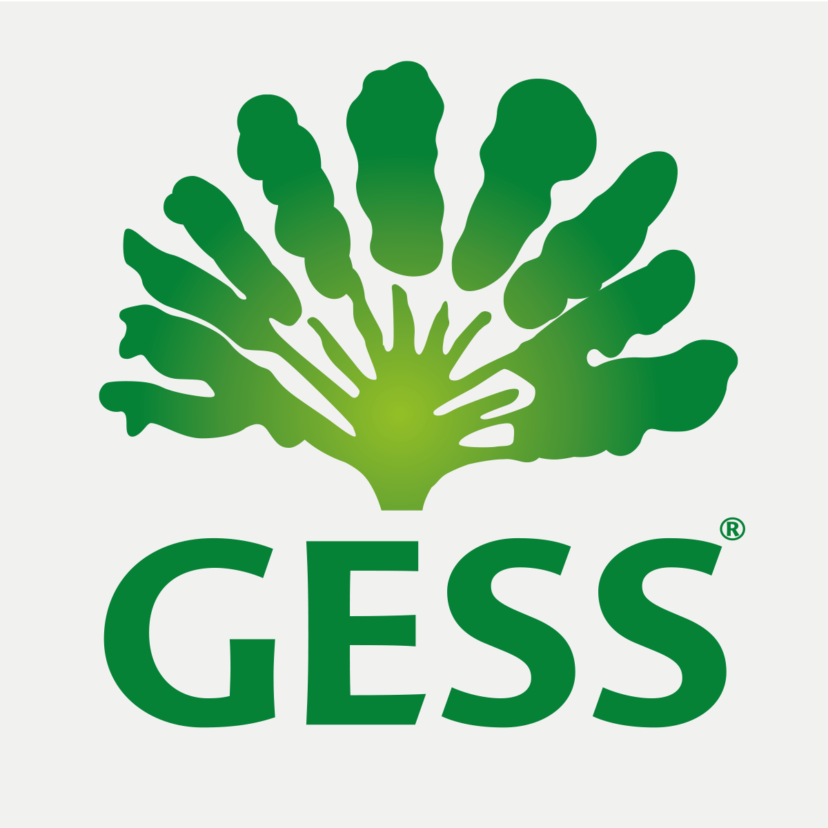 GESS