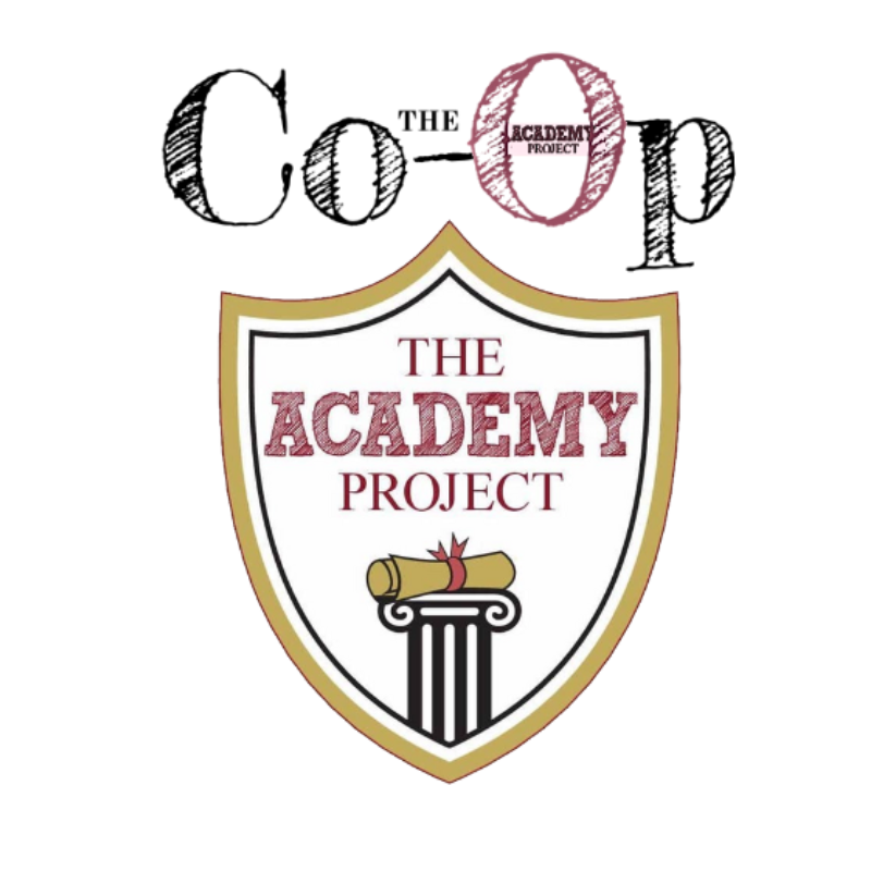 THE ACADEMY PROJECT