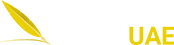 Assignment Writers UAE