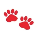 American Veterinary Group