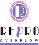 Repro Overflow