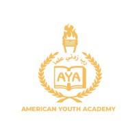 American Youth Academy