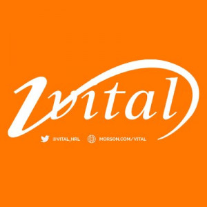Vitil Human Resources