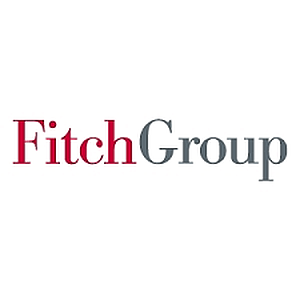 Fitch Group