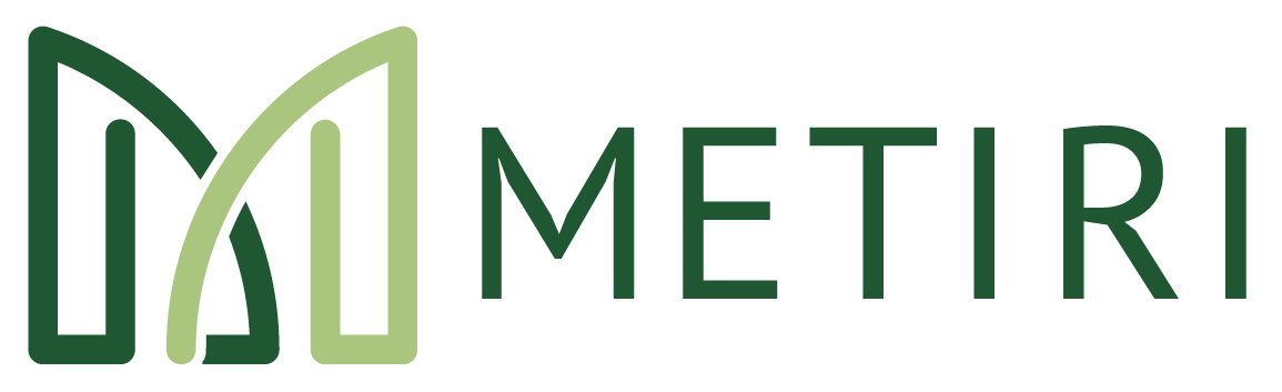 Metiri Analytical Group Inc