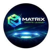 Stealth Mode Startup