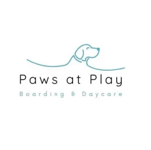 Paws at Play