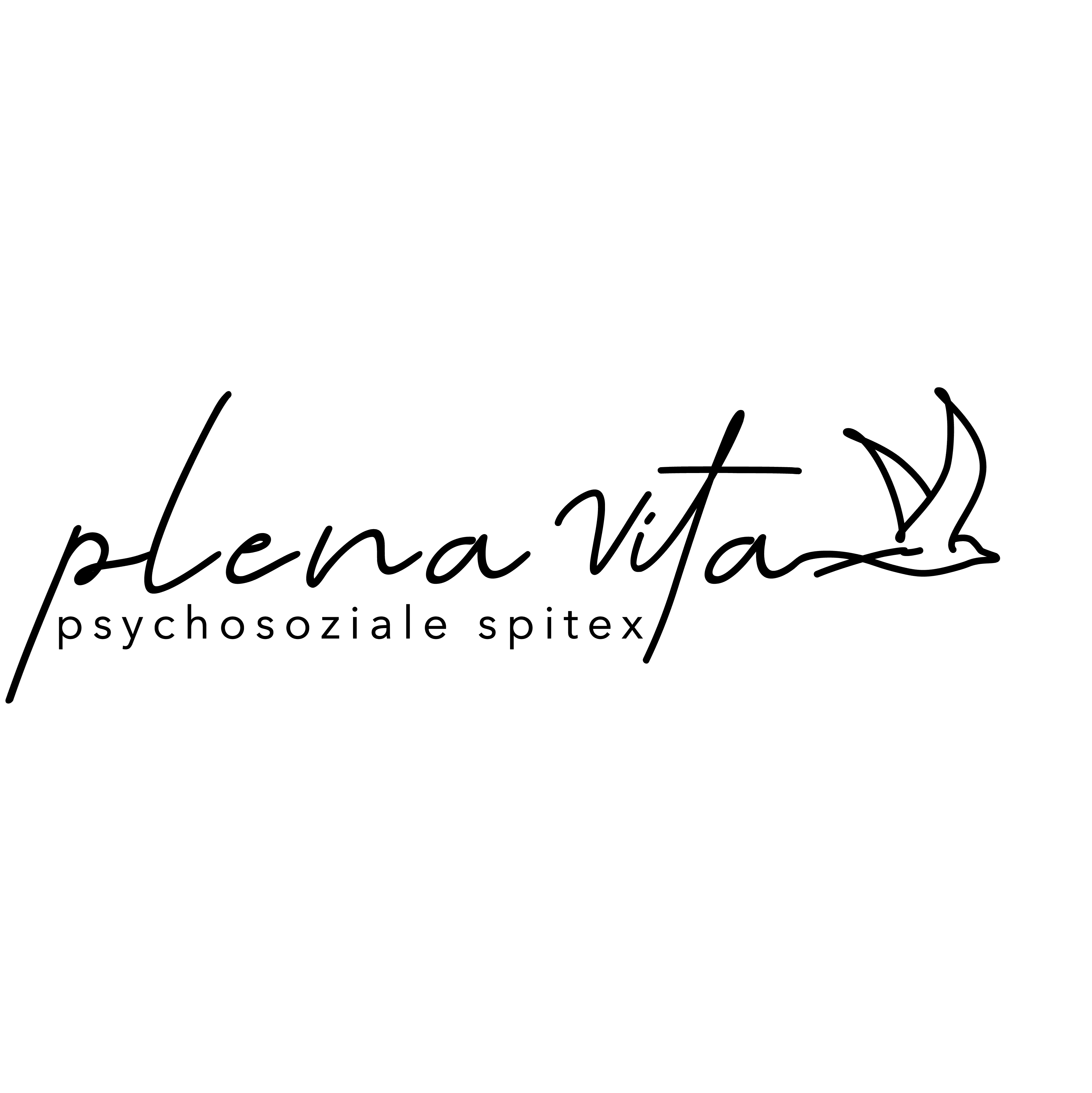 plena vita GmbH