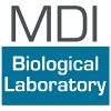 MDI Biological Laboratory