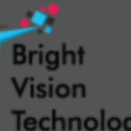 Bright Vision Technologies