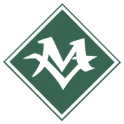 Mountain View Hospital