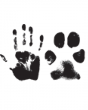 Crossroads Pet Resort
