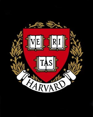 Faculty of Arts & Sciences: Senior Designer