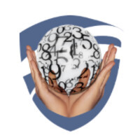 Shine In Math Academy