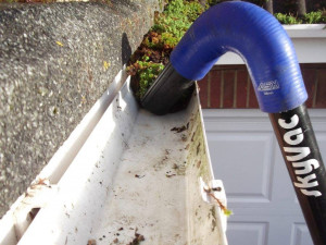 the bath window cleaning company