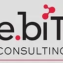 E.biT Consulting