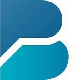 The Brattle Group, Inc.