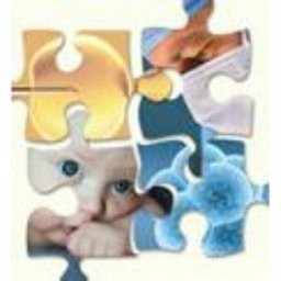 IVF Center Solutions