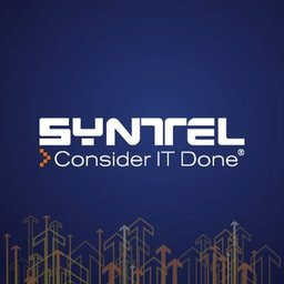Syntelligent Analytic Solutions
