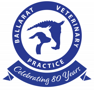 Ballarat Veterinary Practice