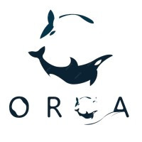 ORCA ENGINEERING