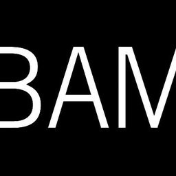 Brooklyn Academy Of Music Inc