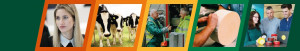 Heler Foods image