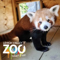 Lehigh Valley Zoological Society