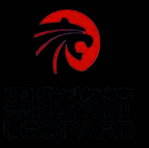 AFRICAN LEOPARD LOGISTICS LTD