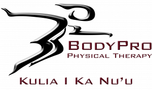 BodyPro Physical Therapy, Inc.