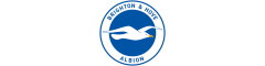Brighton & Hove Albion Football Club