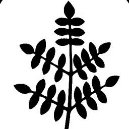 The Plant Group