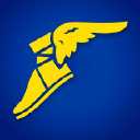 The Goodyear Tire & Rubber Company