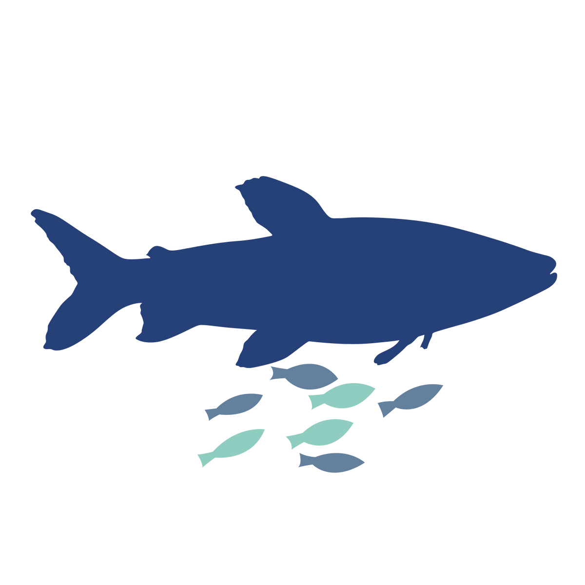 Fish Welfare Initiative