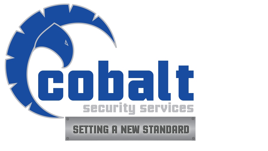 COBALT SECURITY SERVICES INC