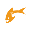 Payara Services Ltd