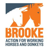 Brooke, Action For Working Horses and Donkeys