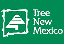 Tree New Mexico