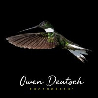 Owen Deutsch Photography