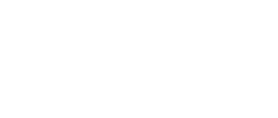 Sanity Group