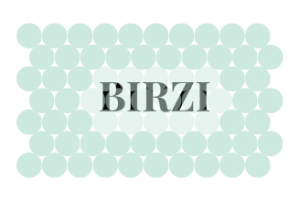Birzi - Glass and Aluminum