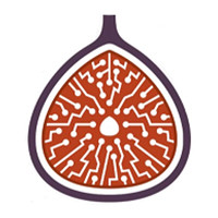 OOO "ANJIR COMPUTERS"