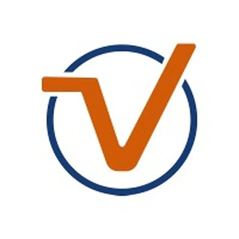 TechVirtue LLC