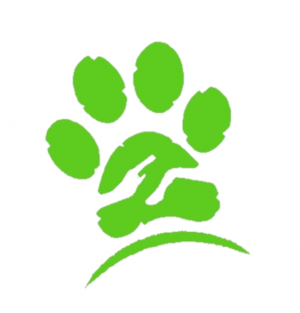 Progressive Vet Care